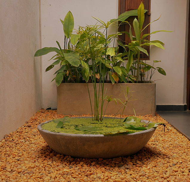about-gallery-image-5