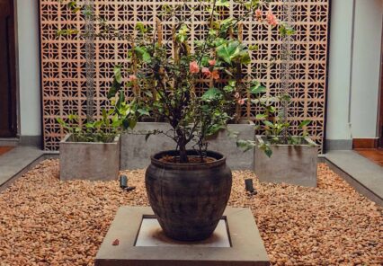 Courtyard